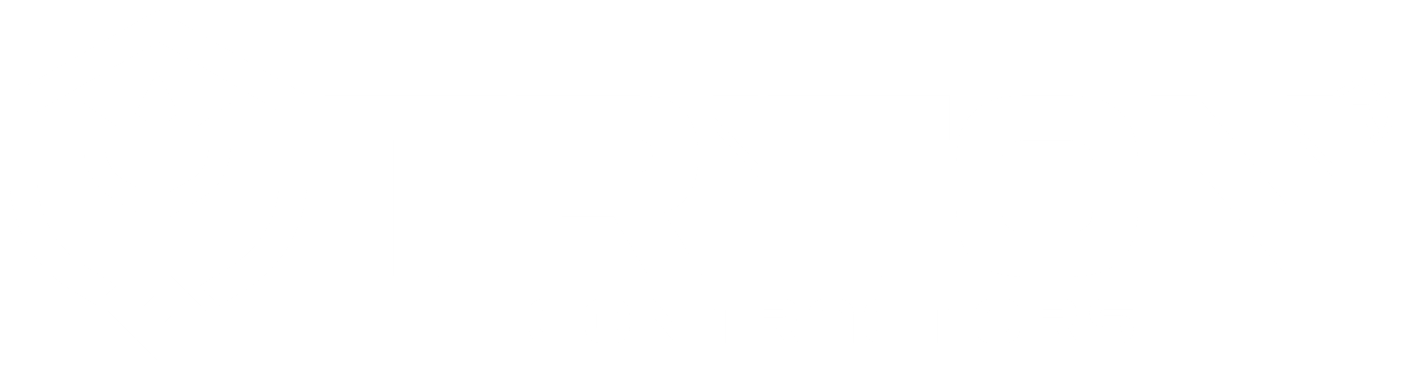 Tritón Contractors
